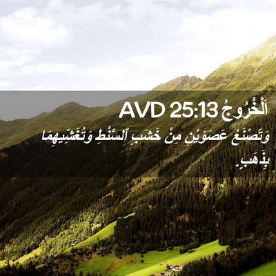 Picture 02 - اَلْخُرُوجُ 25:13 AVD - وَتَصْنَعُ عَصَوَيْنِ - Bible Verse Picture