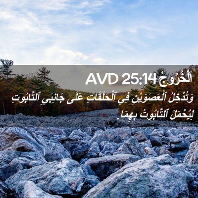Picture 02 - اَلْخُرُوجُ 25:14 AVD - وَتُدْخِلُ ٱلْعَصَوَيْنِ - Bible Verse Picture