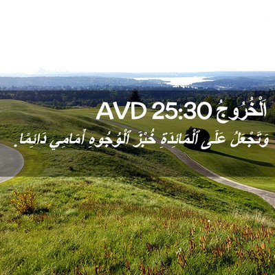 Picture 02 - اَلْخُرُوجُ 25:30 AVD - وَتَجْعَلُ عَلَى - Bible Verse Picture