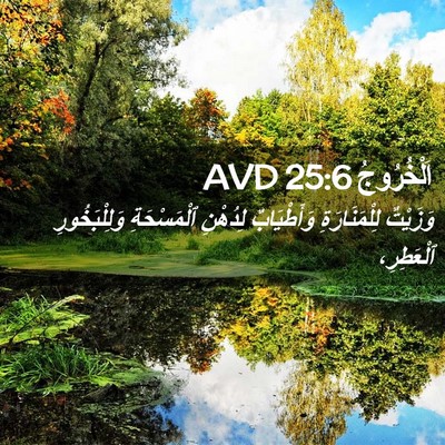 Picture 02 - اَلْخُرُوجُ 25:6 AVD - وَزَيْتٌ لِلْمَنَارَةِ - Bible Verse Picture