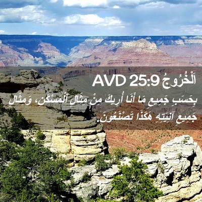 Picture 02 - اَلْخُرُوجُ 25:9 AVD - بِحَسَبِ جَمِيعِ مَا أَنَا - Bible Verse Picture