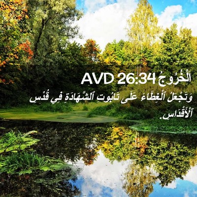 Picture 02 - اَلْخُرُوجُ 26:34 AVD - وَتَجْعَلُ ٱلْغِطَاءَ - Bible Verse Picture