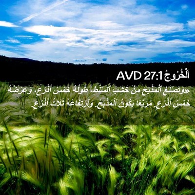 Picture 02 - اَلْخُرُوجُ 27:1 AVD - «وَتَصْنَعُ ٱلْمَذْبَحَ - Bible Verse Picture