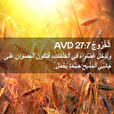 Picture 02 - اَلْخُرُوجُ 27:7 AVD - وَتُدْخَلُ عَصَوَاهُ فِي - Bible Verse Picture