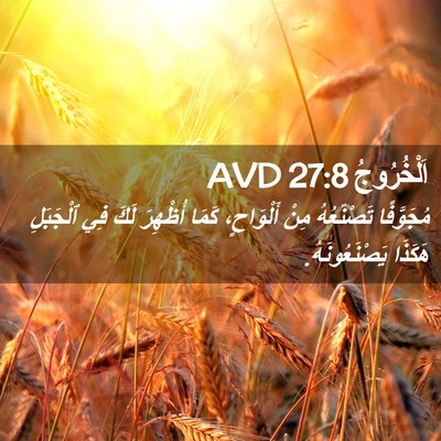 Picture 02 - اَلْخُرُوجُ 27:8 AVD - مُجَوَّفًا تَصْنَعُهُ - Bible Verse Picture