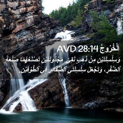 Picture 02 - اَلْخُرُوجُ 28:14 AVD - وَسِلْسِلَتَيْنِ مِنْ - Bible Verse Picture