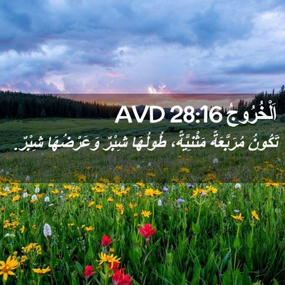 Picture 02 - اَلْخُرُوجُ 28:16 AVD - تَكُونُ مُرَبَّعَةً - Bible Verse Picture