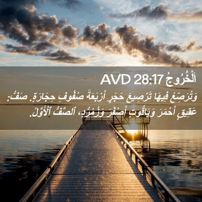 Picture 02 - اَلْخُرُوجُ 28:17 AVD - وَتُرَصِّعُ فِيهَا - Bible Verse Picture