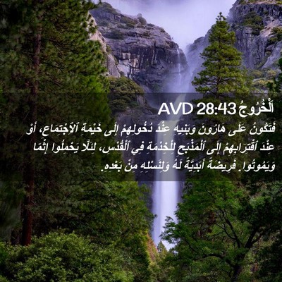 Picture 02 - اَلْخُرُوجُ 28:43 AVD - فَتَكُونُ عَلَى هَارُونَ - Bible Verse Picture