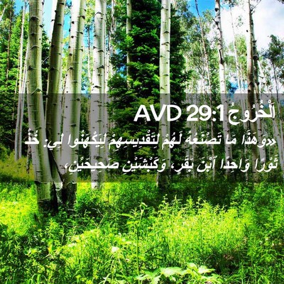 Picture 02 - اَلْخُرُوجُ 29:1 AVD - «وَهَذَا مَا تَصْنَعُهُ - Bible Verse Picture