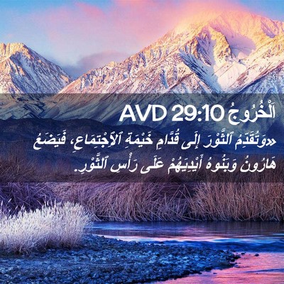 Picture 02 - اَلْخُرُوجُ 29:10 AVD - «وَتُقَدِّمُ ٱلثَّوْرَ - Bible Verse Picture