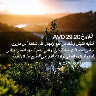 Picture 02 - اَلْخُرُوجُ 29:20 AVD - فَتَذْبَحُ ٱلْكَبْشَ - Bible Verse Picture