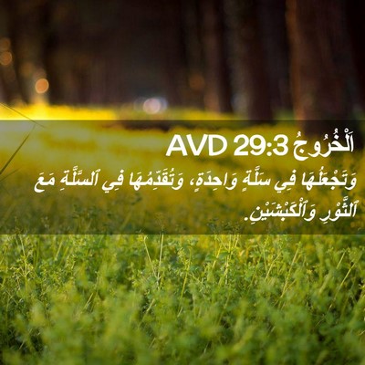 Picture 02 - اَلْخُرُوجُ 29:3 AVD - وَتَجْعَلُهَا فِي سَلَّةٍ - Bible Verse Picture