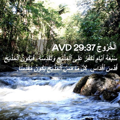 Picture 02 - اَلْخُرُوجُ 29:37 AVD - سَبْعَةَ أَيَّامٍ - Bible Verse Picture