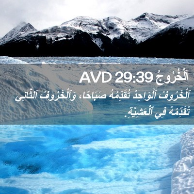 Picture 02 - اَلْخُرُوجُ 29:39 AVD - ٱلْخَرُوفُ ٱلْوَاحِدُ - Bible Verse Picture