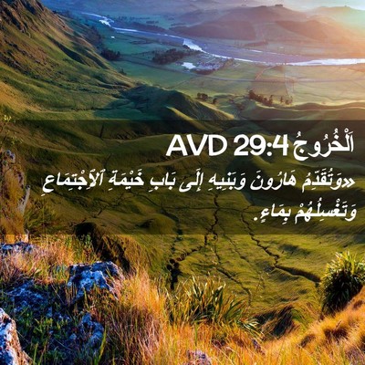 Picture 02 - اَلْخُرُوجُ 29:4 AVD - «وَتُقَدِّمُ هَارُونَ - Bible Verse Picture