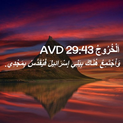 Picture 02 - اَلْخُرُوجُ 29:43 AVD - وَأَجْتَمِعُ هُنَاكَ - Bible Verse Picture