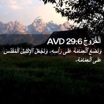 Picture 02 - اَلْخُرُوجُ 29:6 AVD - وَتَضَعُ ٱلْعِمَامَةَ - Bible Verse Picture