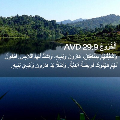 Picture 02 - اَلْخُرُوجُ 29:9 AVD - وَتُنَطِّقُهُمْ - Bible Verse Picture