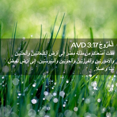 Picture 02 - اَلْخُرُوجُ 3:17 AVD - فَقُلْتُ أُصْعِدُكُمْ - Bible Verse Picture