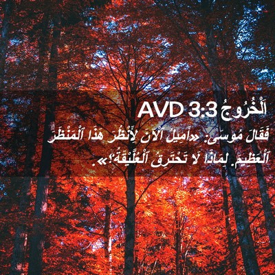 Picture 02 - اَلْخُرُوجُ 3:3 AVD - فَقَالَ مُوسَى: «أَمِيلُ - Bible Verse Picture