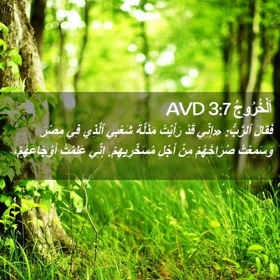 Picture 02 - اَلْخُرُوجُ 3:7 AVD - فَقَالَ ٱلرَّبُّ: «إِنِّي - Bible Verse Picture