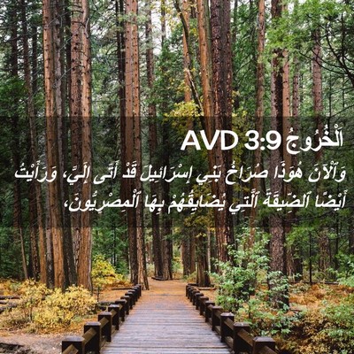 Picture 02 - اَلْخُرُوجُ 3:9 AVD - وَٱلْآنَ هُوَذَا صُرَاخُ - Bible Verse Picture