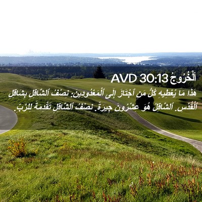 Picture 02 - اَلْخُرُوجُ 30:13 AVD - هَذَا مَا يُعْطِيهِ كُلُّ - Bible Verse Picture