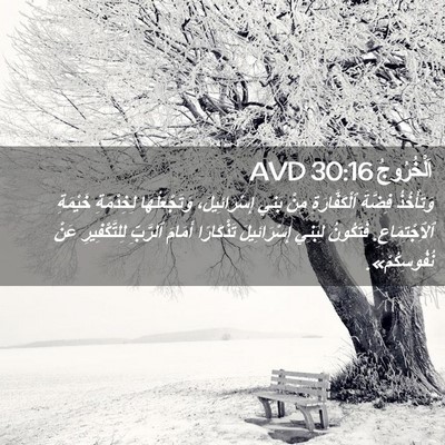 Picture 02 - اَلْخُرُوجُ 30:16 AVD - وَتَأْخُذُ فِضَّةَ - Bible Verse Picture