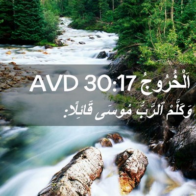 Picture 02 - اَلْخُرُوجُ 30:17 AVD - وَكَلَّمْ ٱلرَّبُّ مُوسَى - Bible Verse Picture
