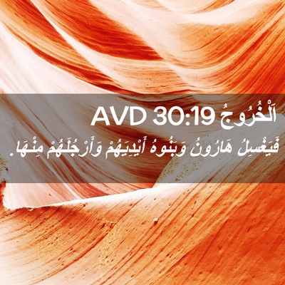Picture 02 - اَلْخُرُوجُ 30:19 AVD - فَيَغْسِلُ هَارُونُ - Bible Verse Picture