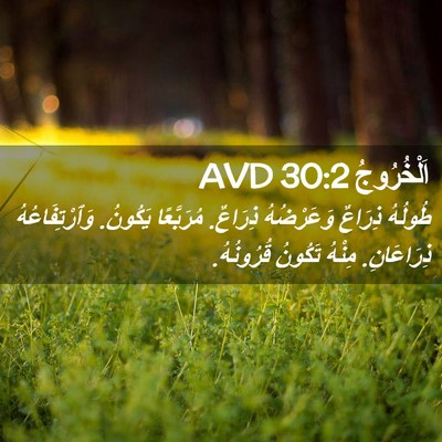 Picture 02 - اَلْخُرُوجُ 30:2 AVD - طُولُهُ ذِرَاعٌ - Bible Verse Picture