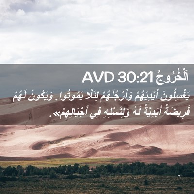 Picture 02 - اَلْخُرُوجُ 30:21 AVD - يَغْسِلُونَ أَيْدِيَهُمْ - Bible Verse Picture