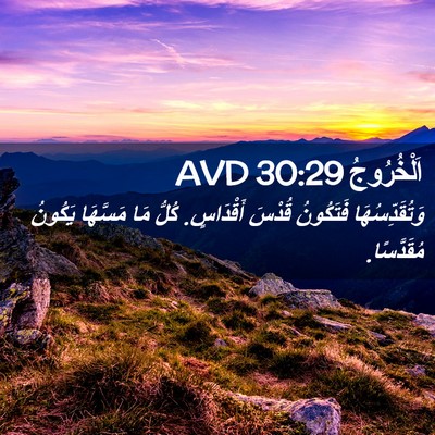 Picture 02 - اَلْخُرُوجُ 30:29 AVD - وَتُقَدِّسُهَا فَتَكُونُ - Bible Verse Picture