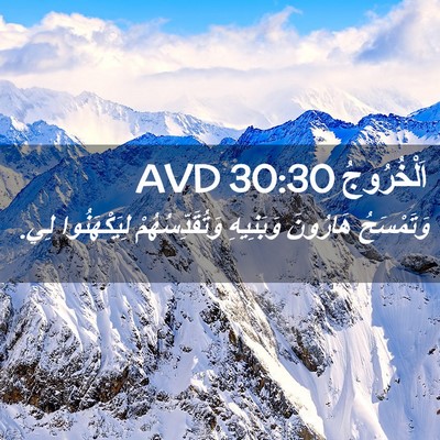 Picture 02 - اَلْخُرُوجُ 30:30 AVD - وَتَمْسَحُ هَارُونَ - Bible Verse Picture