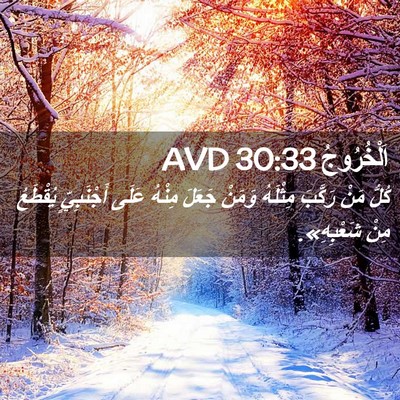 Picture 02 - اَلْخُرُوجُ 30:33 AVD - كُلُّ مَنْ رَكَّبَ - Bible Verse Picture