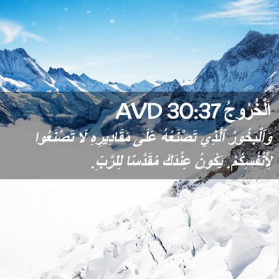 Picture 02 - اَلْخُرُوجُ 30:37 AVD - وَٱلْبَخُورُ ٱلَّذِي - Bible Verse Picture