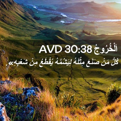 Picture 02 - اَلْخُرُوجُ 30:38 AVD - كُلُّ مَنْ صَنَعَ مِثْلَهُ - Bible Verse Picture
