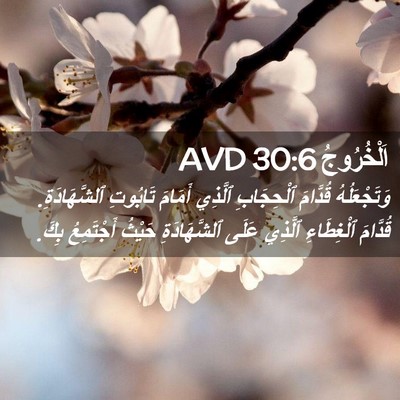 Picture 02 - اَلْخُرُوجُ 30:6 AVD - وَتَجْعَلُهُ قُدَّامَ - Bible Verse Picture