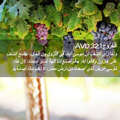 Picture 02 - اَلْخُرُوجُ 32:1 AVD - وَلَمَّا رَأَى ٱلشَّعْبُ - Bible Verse Picture