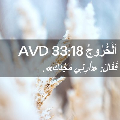 Picture 02 - اَلْخُرُوجُ 33:18 AVD - فَقَالَ: «أَرِنِي - Bible Verse Picture