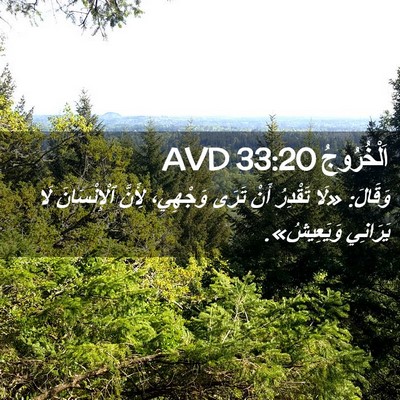 Picture 02 - اَلْخُرُوجُ 33:20 AVD - وَقَالَ: «لَا تَقْدِرُ - Bible Verse Picture