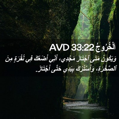 Picture 02 - اَلْخُرُوجُ 33:22 AVD - وَيَكُونُ مَتَى ٱجْتَازَ - Bible Verse Picture