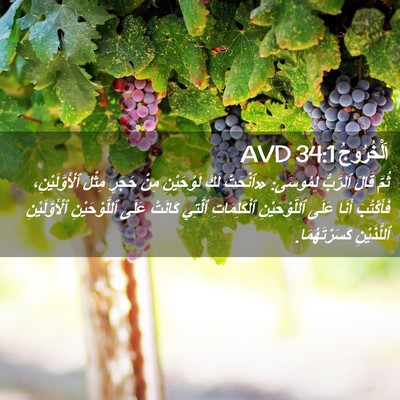 Picture 02 - اَلْخُرُوجُ 34:1 AVD - ثُمَّ قَالَ ٱلرَّبُّ - Bible Verse Picture