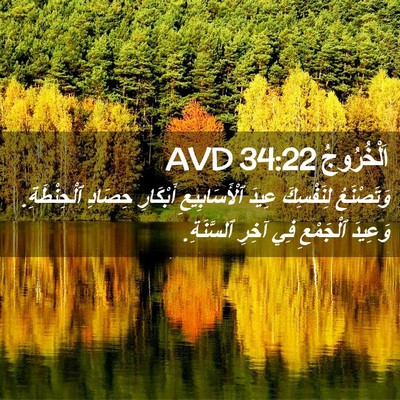 Picture 02 - اَلْخُرُوجُ 34:22 AVD - وَتَصْنَعُ لِنَفْسِكَ - Bible Verse Picture