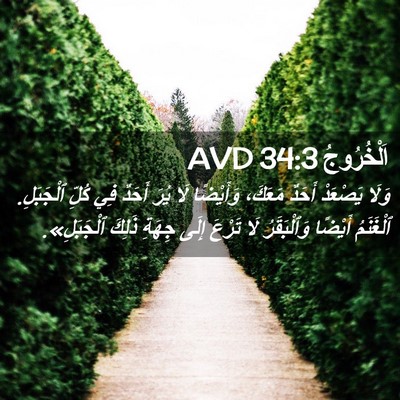 Picture 02 - اَلْخُرُوجُ 34:3 AVD - وَلَا يَصْعَدْ أَحَدٌ - Bible Verse Picture