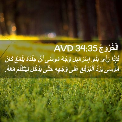 Picture 02 - اَلْخُرُوجُ 34:35 AVD - فَإِذَا رَأَى بَنُو - Bible Verse Picture
