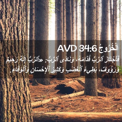 Picture 02 - اَلْخُرُوجُ 34:6 AVD - فَٱجْتَازَ ٱلرَّبُّ - Bible Verse Picture