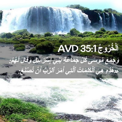 Picture 02 - اَلْخُرُوجُ 35:1 AVD - وَجَمَعَ مُوسَى كُلَّ - Bible Verse Picture