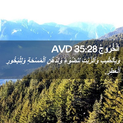 Picture 02 - اَلْخُرُوجُ 35:28 AVD - وَبِٱلطِّيبِ وَٱلزَّيْتِ - Bible Verse Picture